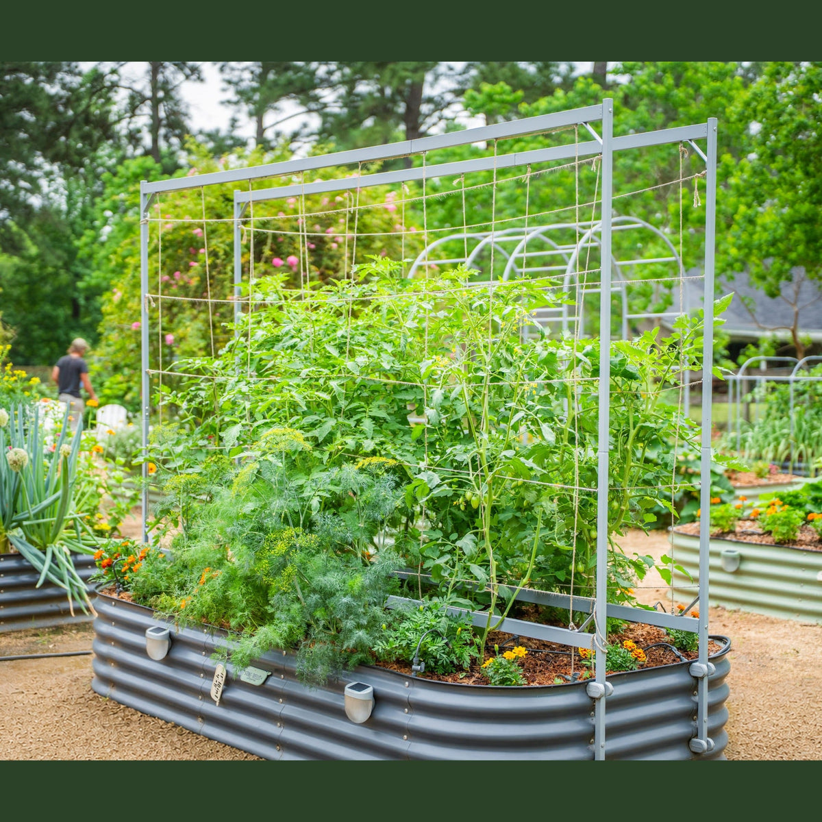 Metal Frame String Trellis – for 6.5ft Beds – view 1
