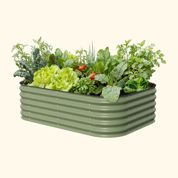 Modular Raised Beds