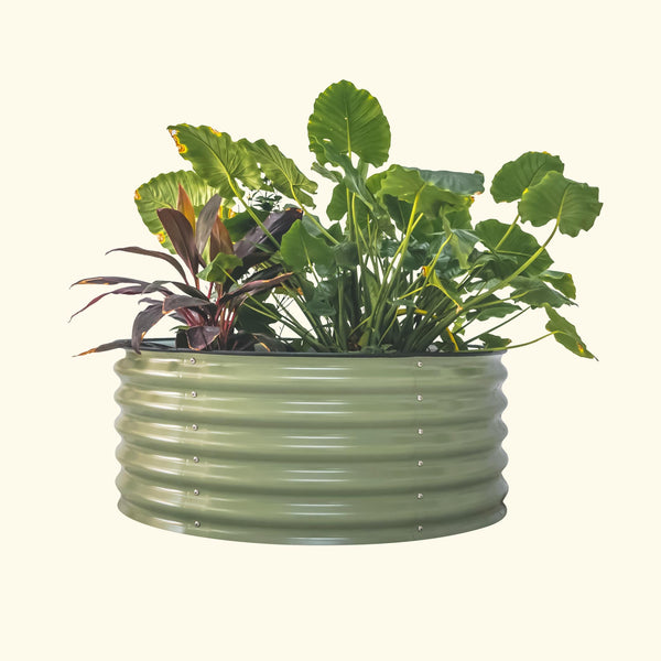 Round & Shaped Beds