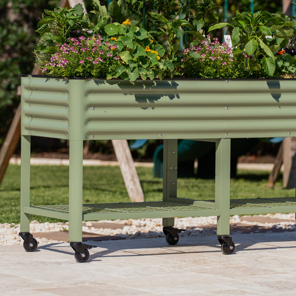 A sage green elevated garden bed on castors planted with herbs and flowers