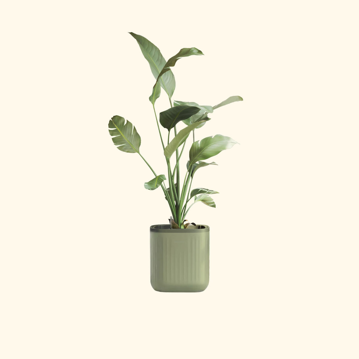 EZ Self-Watering Home Planter – view 1