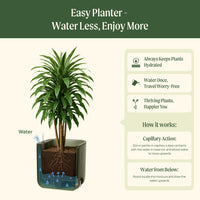 EZ Self-Watering Home Planter – view 6