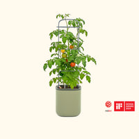 EZ Self-Watering Tomato Planter with Trellis, Gen 2 – view 2