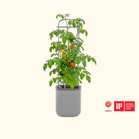 EZ Self-Watering Tomato Planter with Trellis, Gen 2 – view 3