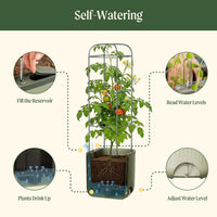 EZ Self-Watering Tomato Planter with Trellis, Gen 2 – view 5
