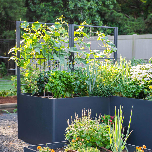 Modern Pro Privacy Wall Trellis – view 1