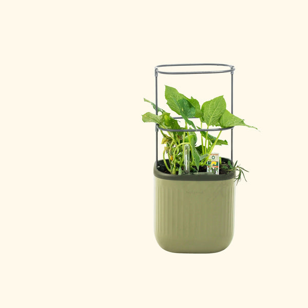 EZ Self-Watering Mini Planter Pot with Trellis – view 1