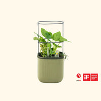 EZ Self-Watering Mini Planter Pot with Trellis – view 2