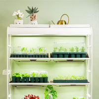 Standard 1020 Germination Cell Bundle – view 2